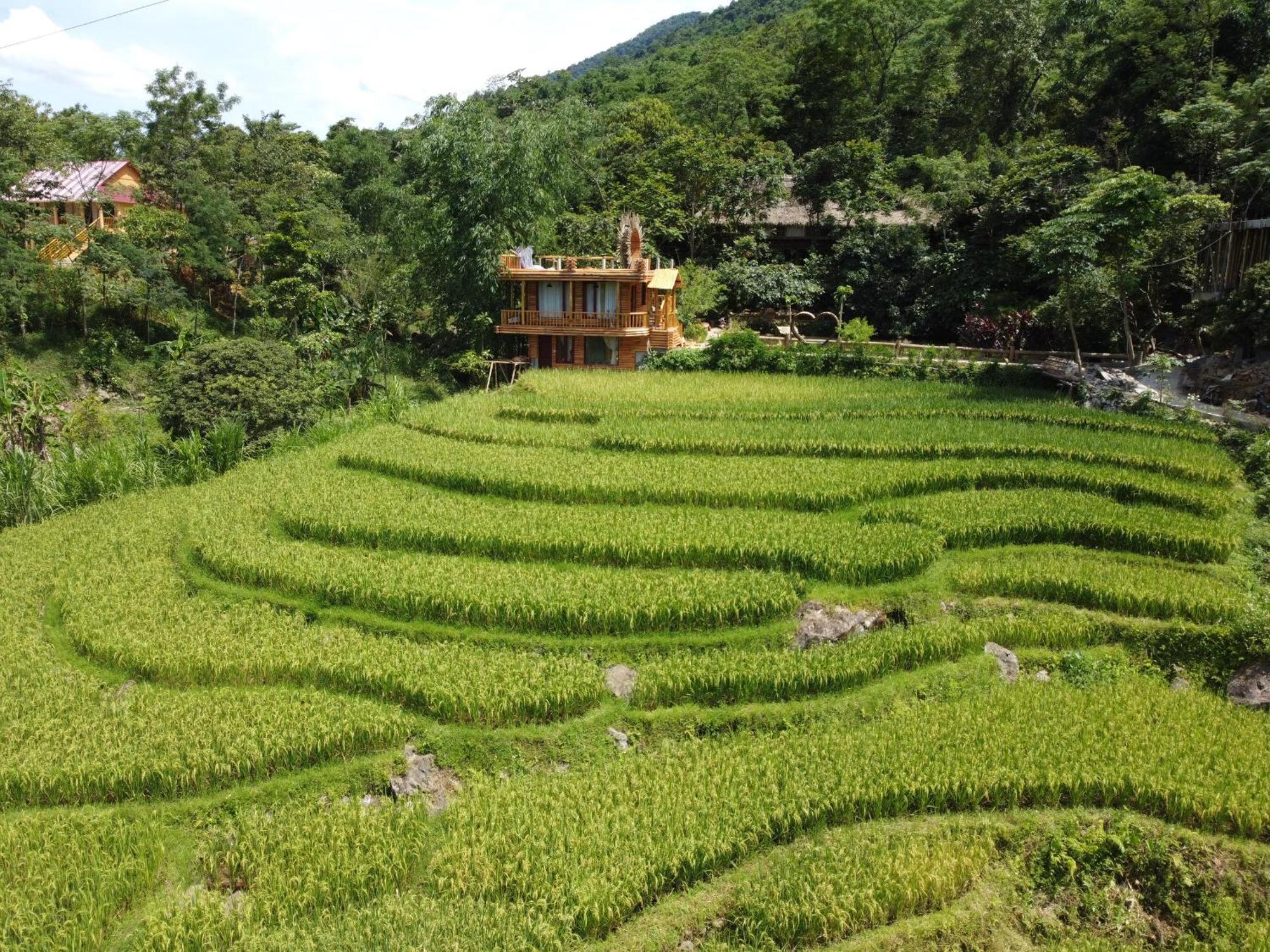 Pu Luong Jungle Lodge Exteriör bild