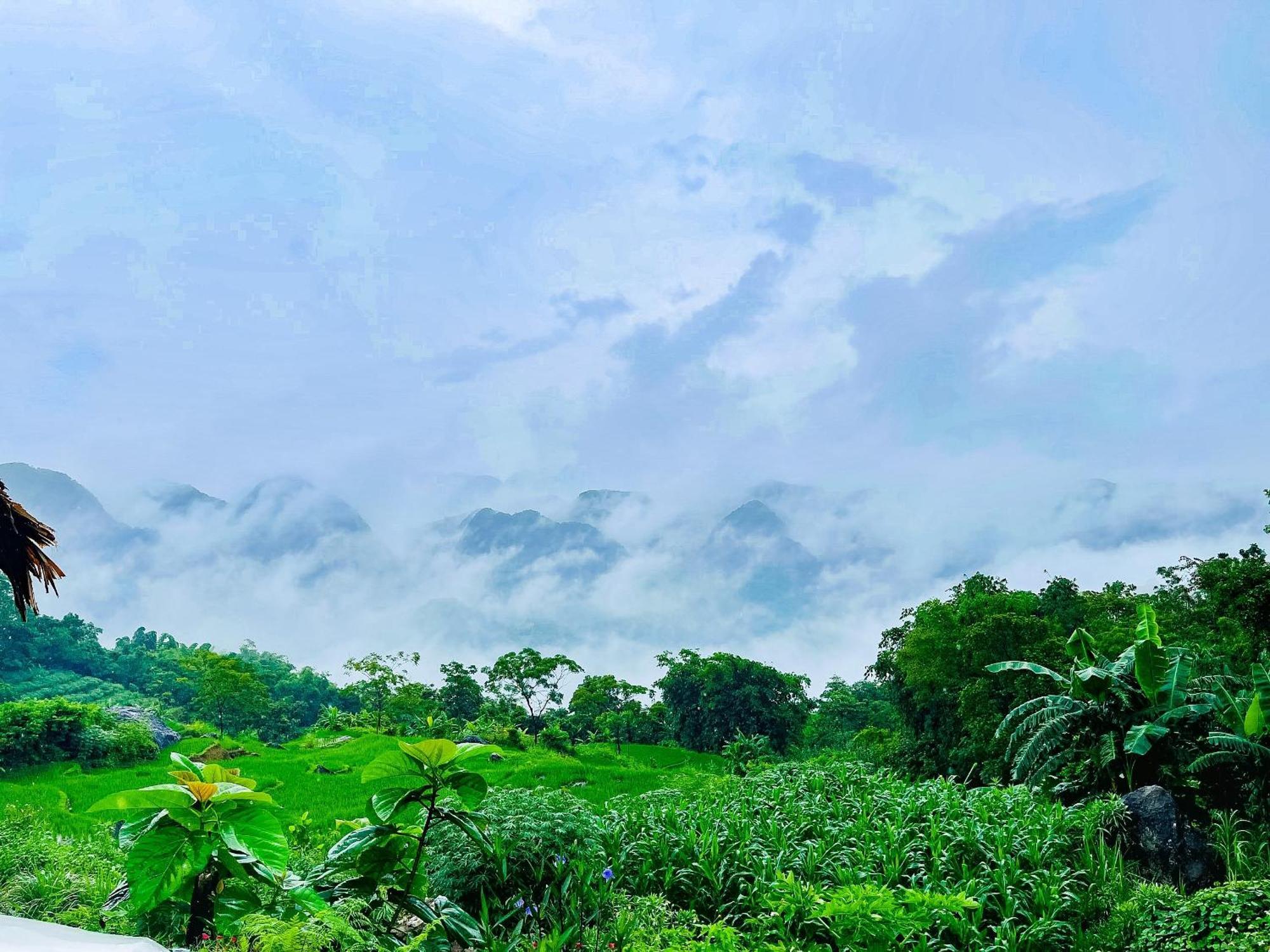Pu Luong Jungle Lodge Exteriör bild